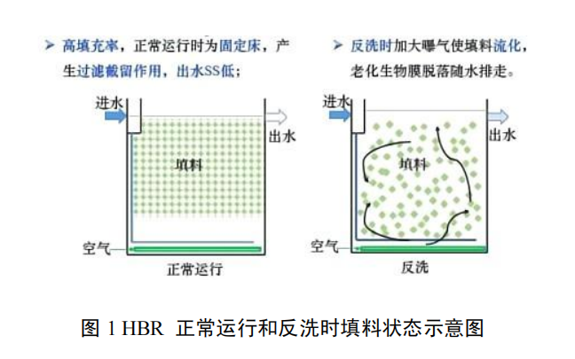 高效节地型生物膜污水净化技术装备