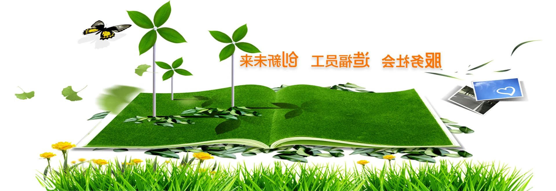 基于有机—无机复合药剂的重金属深度去除技术