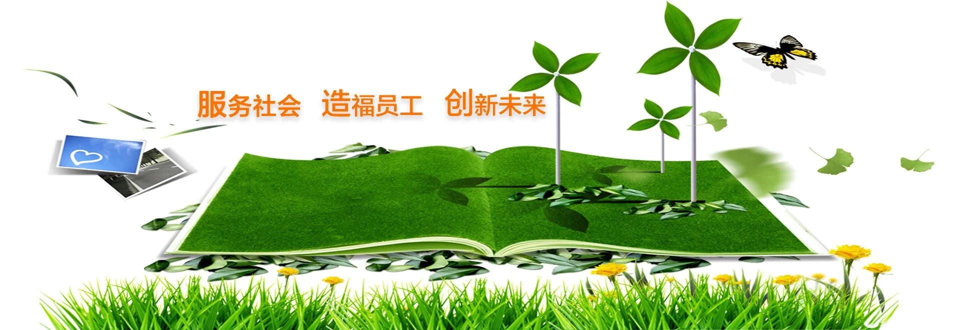 接待仁木木业商务洽谈
