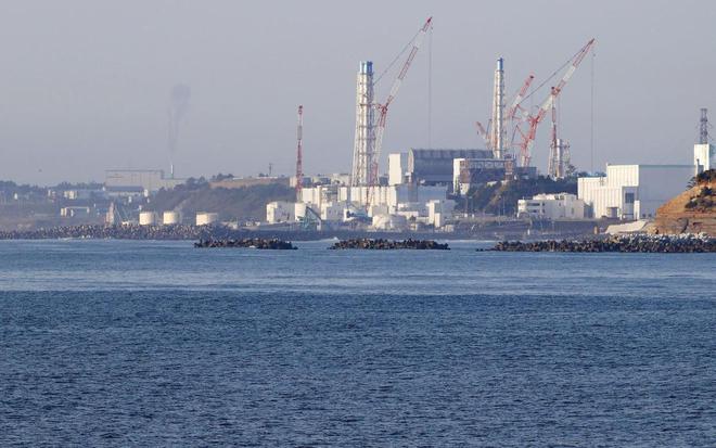 核污染水排放入海！影响有多大