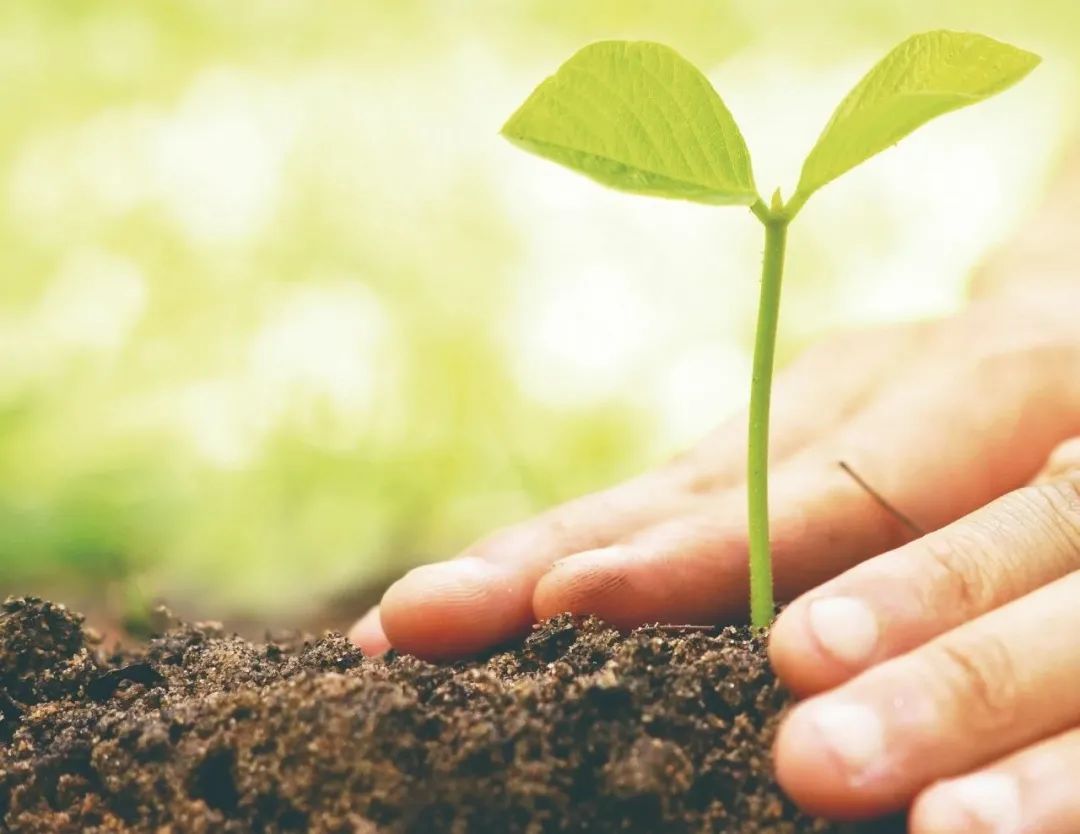 常见土壤地下水修复技术