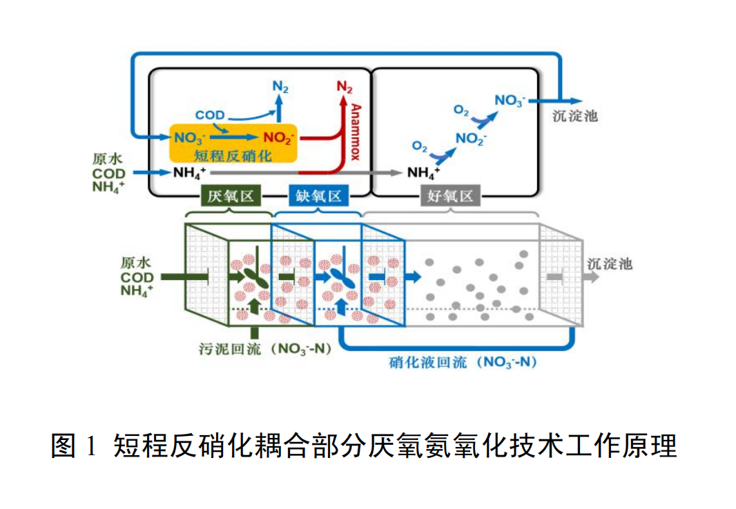 城市污水短程反硝化耦合部分厌氧氨氧化深度脱氮技术