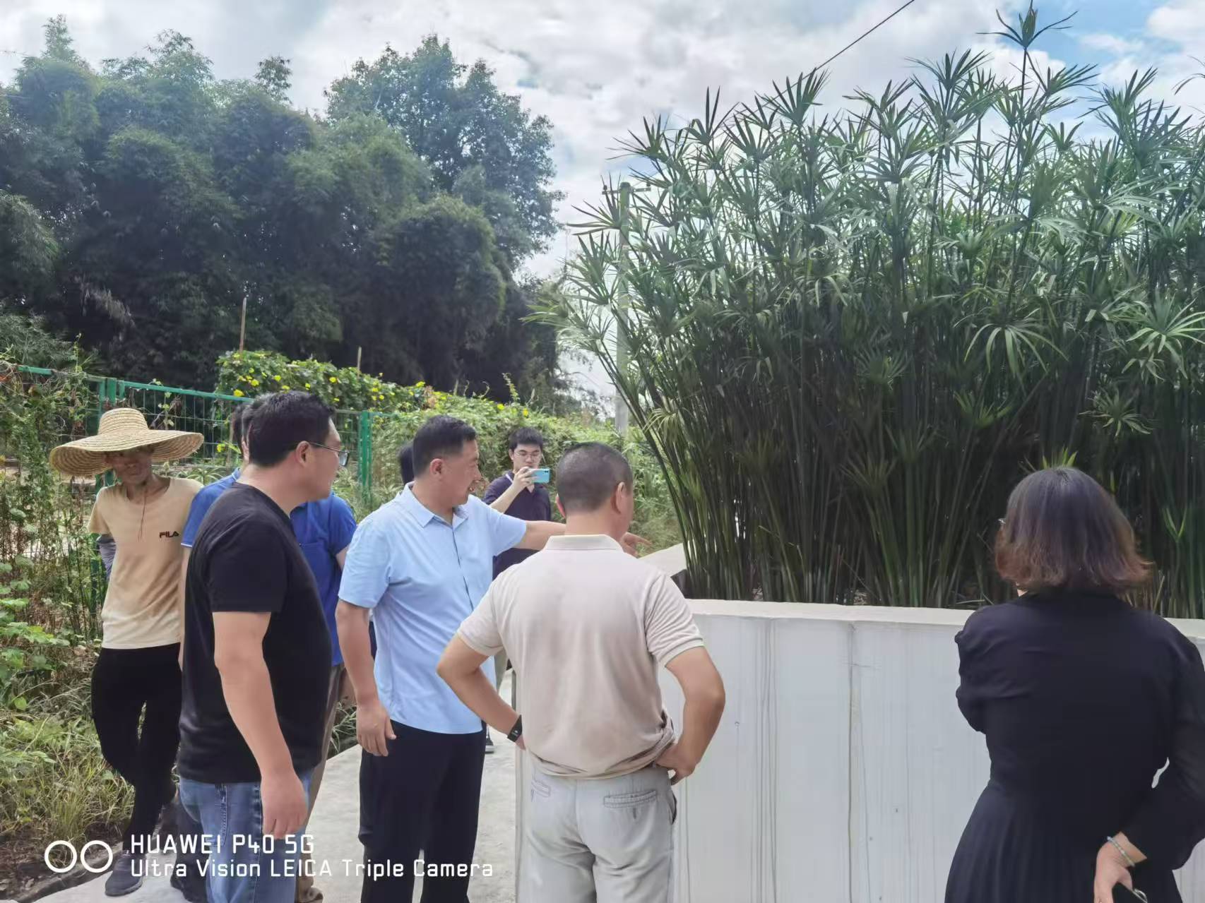 西彭运维站迎接环保局领导工作检查