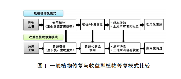 重金属污染土壤芦竹修复及生态板材制造技术