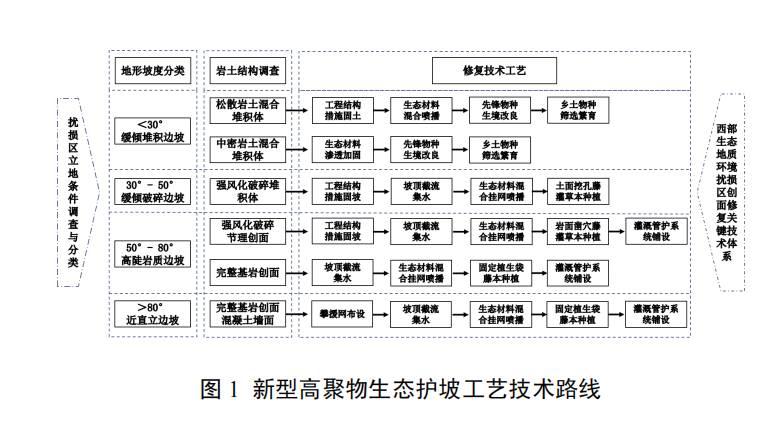 新型高聚物生态护坡技术