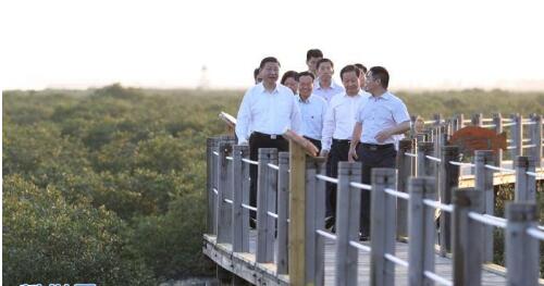 这五年，习近平引领生态环保带来五大改变