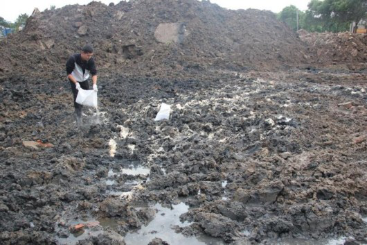 有机物污染土修复