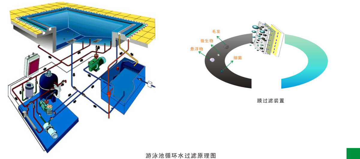 游泳池水循环净化处理工程
