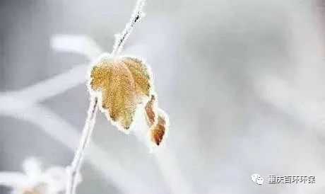 熬过疫情寒冬，迎来发展