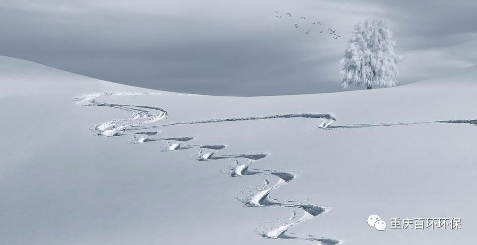 熬过疫情寒冬，迎来发展