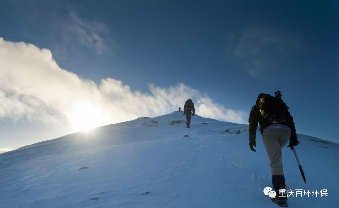 熬过疫情寒冬，迎来发展