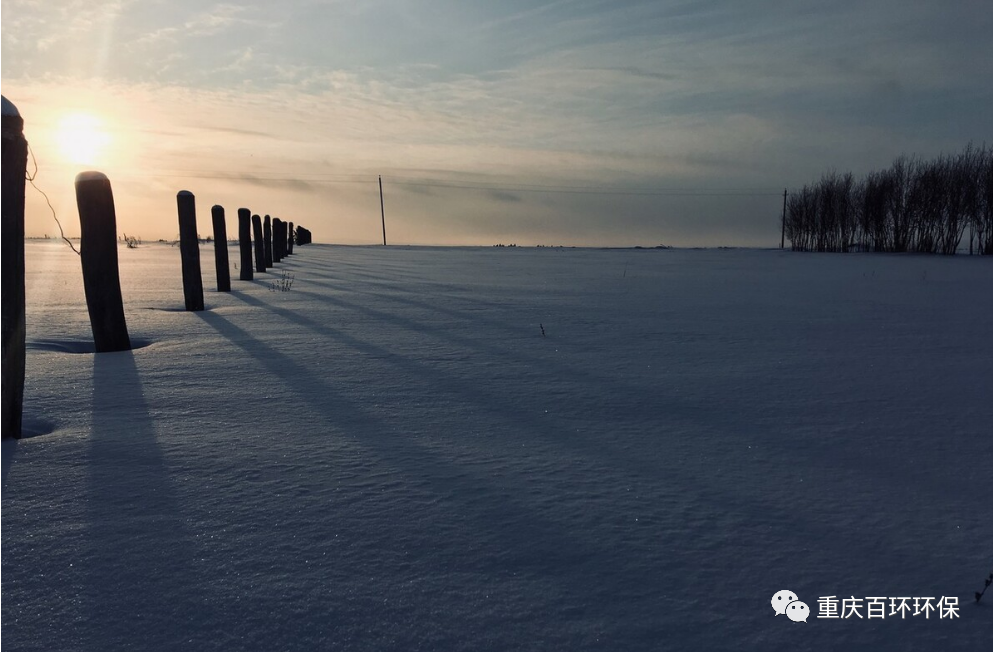 熬过疫情寒冬，迎来发展