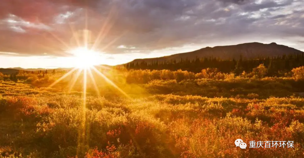 熬过疫情寒冬，迎来发展