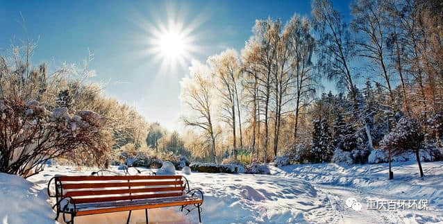 熬过疫情寒冬，迎来发展